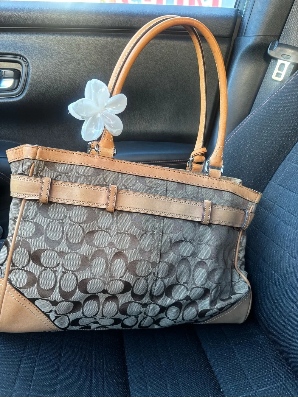 Vintage Fall Coach Signature Hampton Canvas Tote Bag